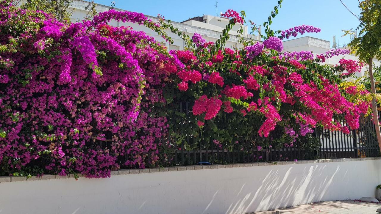 Jardines De Lunamar Apartamento Marbella Exterior foto